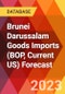 Brunei Darussalam Goods Imports (BOP, Current US) Forecast - Product Image