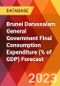 Brunei Darussalam General Government Final Consumption Expenditure (% of GDP) Forecast - Product Thumbnail Image