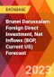 Brunei Darussalam Foreign Direct Investment, Net Inflows (BOP, Current US) Forecast - Product Image