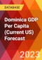 Dominica GDP Per Capita (Current US) Forecast - Product Thumbnail Image