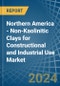 Northern America - Non-Kaolinitic Clays for Constructional and Industrial Use - Market Analysis, forecast, Size, Trends and Insights - Product Image