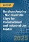 Northern America - Non-Kaolinitic Clays for Constructional and Industrial Use - Market Analysis, forecast, Size, Trends and Insights - Product Thumbnail Image