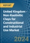 United Kingdom - Non-Kaolinitic Clays for Constructional and Industrial Use - Market Analysis, forecast, Size, Trends and Insights - Product Image