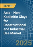 Asia - Non-Kaolinitic Clays for Constructional and Industrial Use - Market Analysis, forecast, Size, Trends and Insights- Product Image