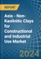 Asia - Non-Kaolinitic Clays for Constructional and Industrial Use - Market Analysis, forecast, Size, Trends and Insights - Product Thumbnail Image
