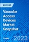 Vascular Access Devices Market Snapshot - Product Image