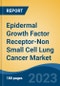 Epidermal Growth Factor Receptor-Non Small Cell Lung Cancer Market - Global Industry Size, Share, Trends, Opportunity, and Forecast, 2018-2028F - Product Image