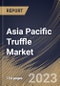 Asia Pacific Truffle Market Size, Share & Industry Trends Analysis Report By Nature (Conventional, and Organic), By Form (Fresh, and Processed), By Distribution Channel (B2C, and B2B), By End-use, By Product, By Country and Growth Forecast, 2023 - 2030 - Product Image