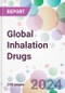 Global Inhalation Drugs Market Analysis & Forecast to 2024-2034 - Product Thumbnail Image