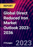 Global Direct Reduced Iron Market Outlook 2023-2036- Product Image