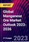 Global Manganese Ore Market Outlook 2023-2036 - Product Thumbnail Image