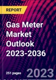 Gas Meter Market Outlook 2023-2036- Product Image