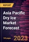 Asia Pacific Dry Ice Market Forecast to 2028 - Regional Analysis - by Type and Application - Product Image