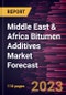 Middle East & Africa Bitumen Additives Market Forecast to 2030 - Regional Analysis - by Type, and Application - Product Thumbnail Image