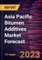 Asia Pacific Bitumen Additives Market Forecast to 2030 - Regional Analysis - by Type, and Application - Product Image
