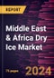 Middle East & Africa Dry Ice Market Forecast to 2030 - Regional Analysis by Type and Application - Product Image