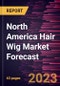 North America Hair Wig Market Forecast to 2030 - Regional Analysis - Type, End User, and Distribution Channel - Product Thumbnail Image