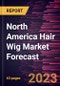 North America Hair Wig Market Forecast to 2030 - Regional Analysis - Type, End User, and Distribution Channel - Product Thumbnail Image