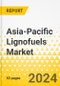 Asia-Pacific Lignofuels Market: Analysis and Forecast, 2023-2032 - Product Thumbnail Image