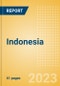 Indonesia - Enterprise ICT - Product Image