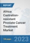 Africa Castration-resistant Prostate Cancer Treatment Market: Prospects, Trends Analysis, Market Size and Forecasts up to 2030 - Product Image