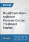 Brazil Castration-resistant Prostate Cancer Treatment Market: Prospects, Trends Analysis, Market Size and Forecasts up to 2030 - Product Image