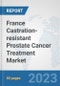 France Castration-resistant Prostate Cancer Treatment Market: Prospects, Trends Analysis, Market Size and Forecasts up to 2030 - Product Image