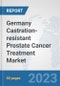 Germany Castration-resistant Prostate Cancer Treatment Market: Prospects, Trends Analysis, Market Size and Forecasts up to 2030 - Product Image