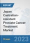 Japan Castration-resistant Prostate Cancer Treatment Market: Prospects, Trends Analysis, Market Size and Forecasts up to 2030 - Product Thumbnail Image