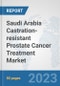 Saudi Arabia Castration-resistant Prostate Cancer Treatment Market: Prospects, Trends Analysis, Market Size and Forecasts up to 2030 - Product Image