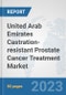 United Arab Emirates Castration-resistant Prostate Cancer Treatment Market: Prospects, Trends Analysis, Market Size and Forecasts up to 2030 - Product Image