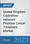 United Kingdom Castration-resistant Prostate Cancer Treatment Market: Prospects, Trends Analysis, Market Size and Forecasts up to 2030 - Product Thumbnail Image