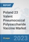 Poland 23 Valent Pneumococcal Polysaccharide Vaccine Market: Prospects, Trends Analysis, Market Size and Forecasts up to 2030 - Product Thumbnail Image