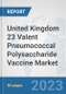 United Kingdom 23 Valent Pneumococcal Polysaccharide Vaccine Market: Prospects, Trends Analysis, Market Size and Forecasts up to 2030 - Product Thumbnail Image