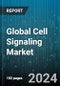 Global Cell Signaling Market by Product (Consumables, Instruments), Type (Autocrine Signaling, Endocrine Signaling, Juxtacrine Signaling), End-use - Forecast 2024-2030 - Product Thumbnail Image