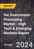 2024 Global Forecast for the Downstream Processing Market (2025-2030 Outlook) - High Tech & Emerging Markets Report- Product Image