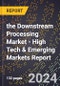 2024 Global Forecast for the Downstream Processing Market (2025-2030 Outlook) - High Tech & Emerging Markets Report - Product Image