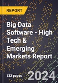 2024 Global Forecast for Big Data Software (2025-2030 Outlook) - High Tech & Emerging Markets Report- Product Image