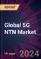 Global 5G NTN Market 2024-2028 - Product Thumbnail Image