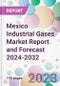 Mexico Industrial Gases Market Report and Forecast 2024-2032 - Product Thumbnail Image