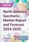 North America Saccharin Market Report and Forecast 2024-2032 - Product Thumbnail Image
