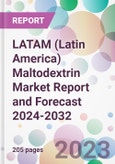 LATAM (Latin America) Maltodextrin Market Report and Forecast 2024-2032- Product Image