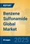 Benzene Sulfonamide Global Market Insights 2024, Analysis and Forecast to 2029, by Manufacturers, Regions, Technology, Application - Product Thumbnail Image