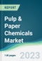 Pulp & Paper Chemicals Market - Forecasts from 2023 to 2028 - Product Image
