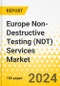 Europe Non-Destructive Testing (NDT) Services Market - A Regional Analysis: Focus on Application, Type, and Country - Analysis and Forecast, 2023-2033 - Product Image