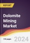 Dolomite Mining Market Report: Trends, Forecast and Competitive Analysis to 2030 - Product Thumbnail Image