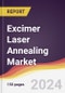 Excimer Laser Annealing (ELA) Market Report: Trends, Forecast and Competitive Analysis to 2030 - Product Thumbnail Image