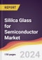 Sililca Glass for Semiconductor Market Report: Trends, Forecast and Competitive Analysis to 2030 - Product Image