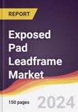 Exposed Pad Leadframe Market Report: Trends, Forecast and Competitive Analysis to 2030- Product Image