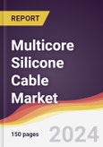 Multicore Silicone Cable Market Report: Trends, Forecast and Competitive Analysis to 2030- Product Image